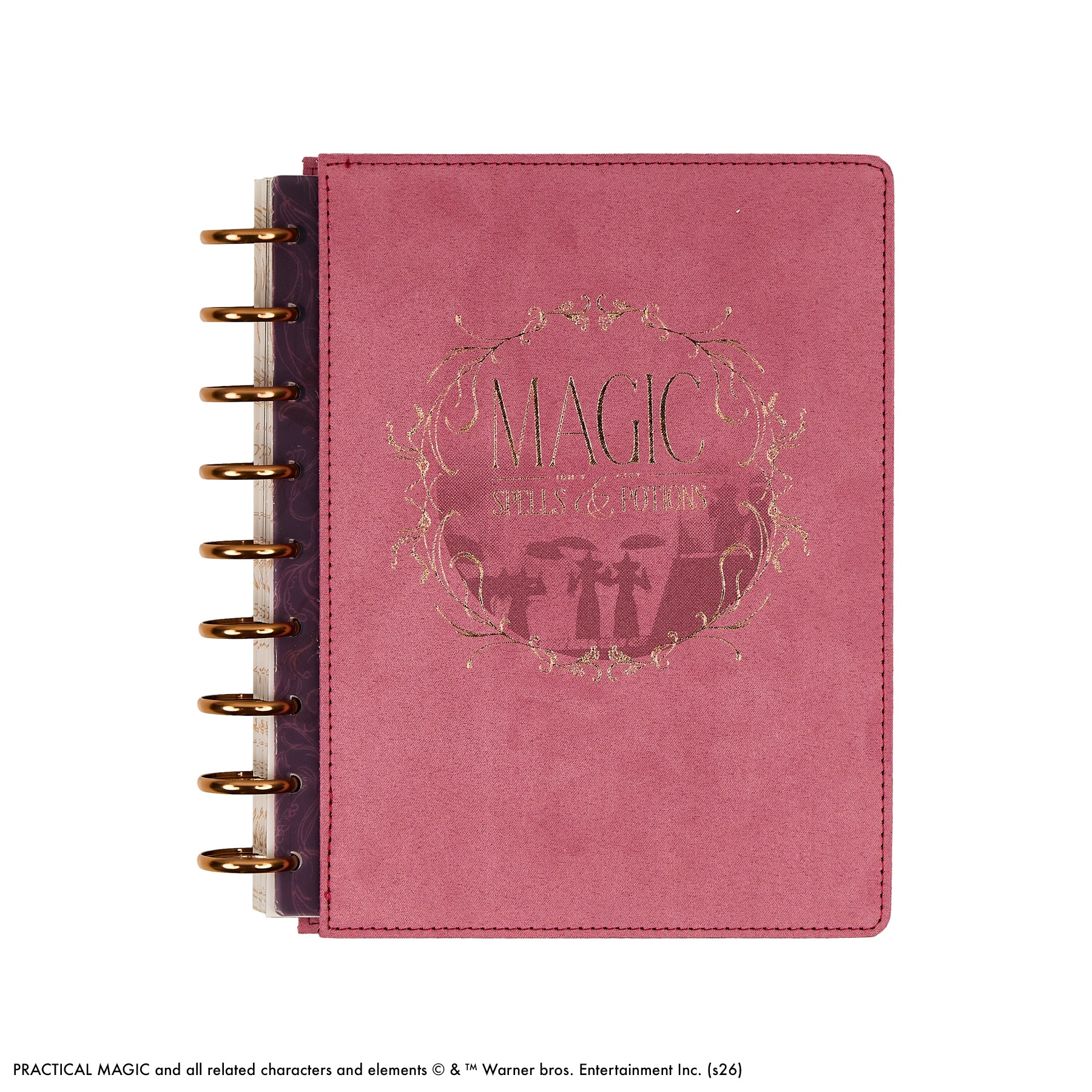 Happy Planner Classic Specialty 12 havi discbound tervező - Practical Magic