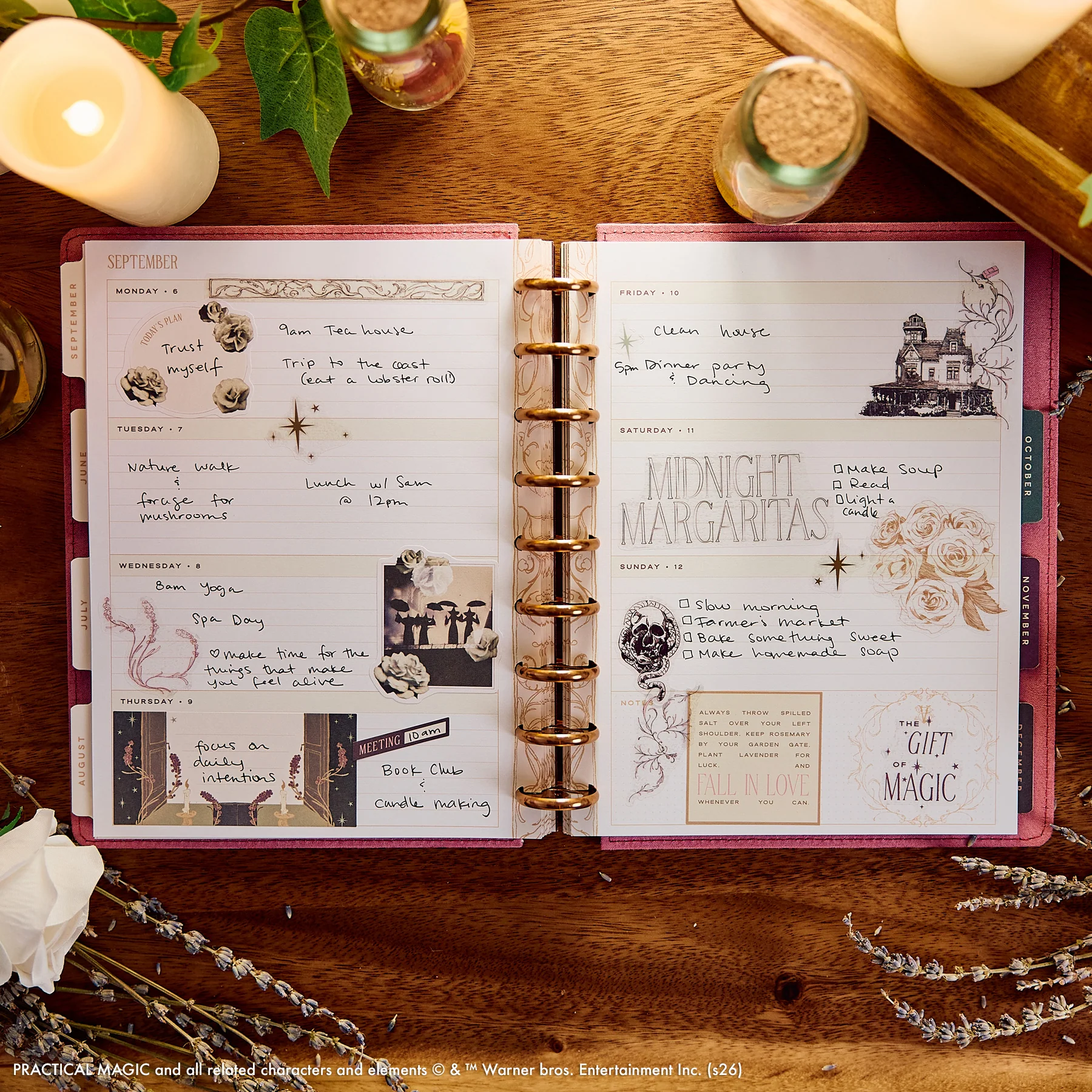 Happy Planner Classic Specialty 12 havi discbound tervező - Practical Magic - 3. kép